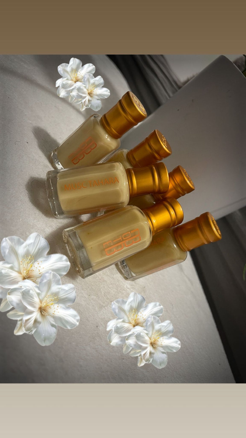 MUSC  INTIME TAHARA fleurs de LYS